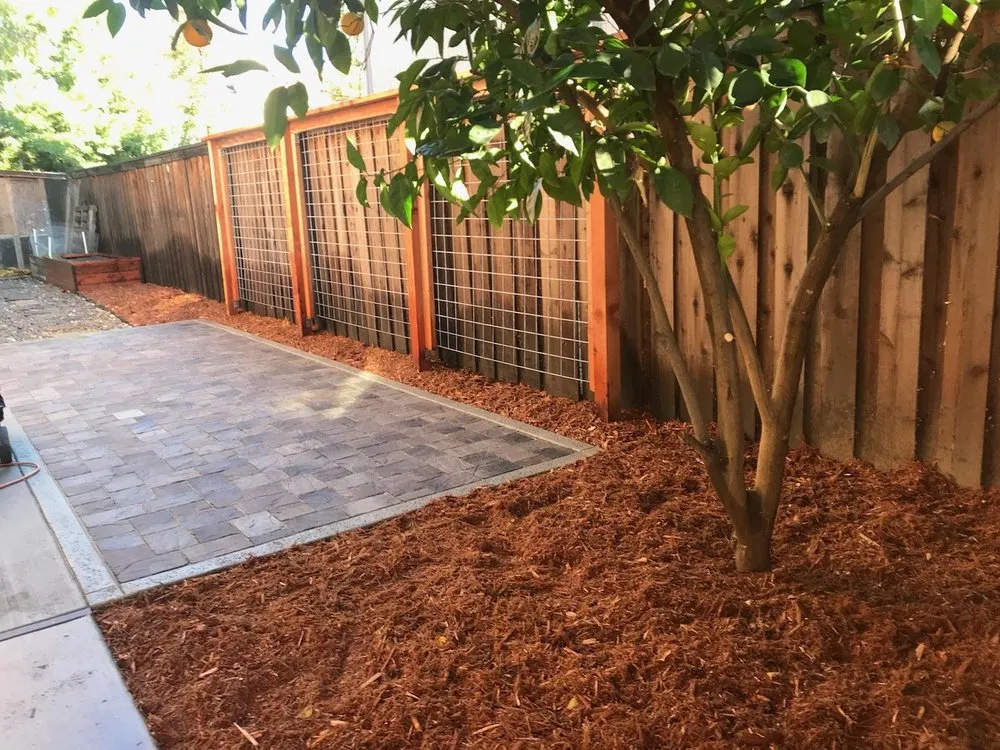 Reliable yard cleanup service in Davis, CA by Whole System Designs