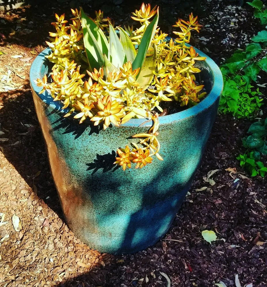 Custom outdoor landscaping in Davis, CA by Whole System Designs