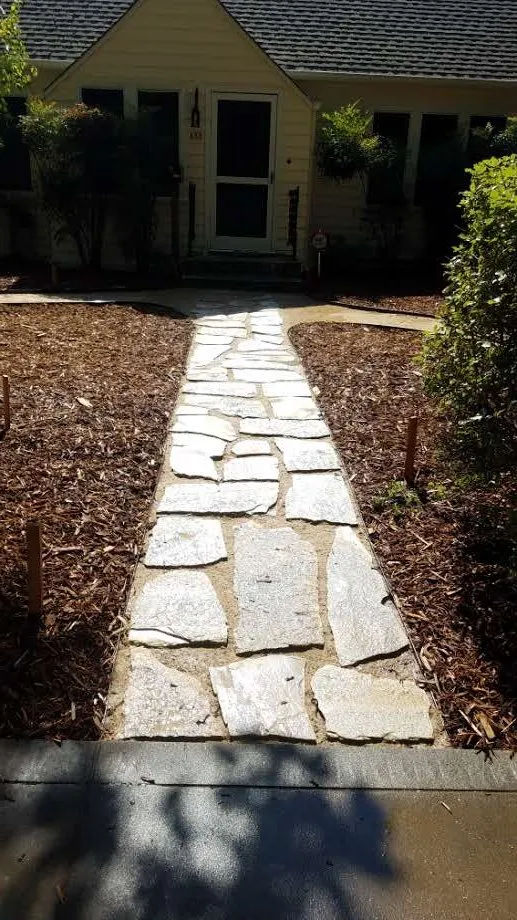 Affordable lawn care service experts serving Davis, CA - Whole System Designs