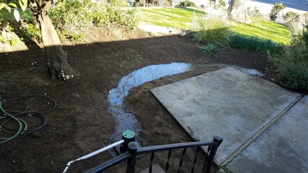 Top-rated landscaping services for homes across Davis, CA - Whole System Designs