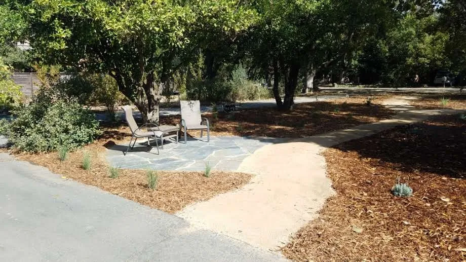 Local yard maintenance for beautiful yards in Davis, CA by Whole System Designs
