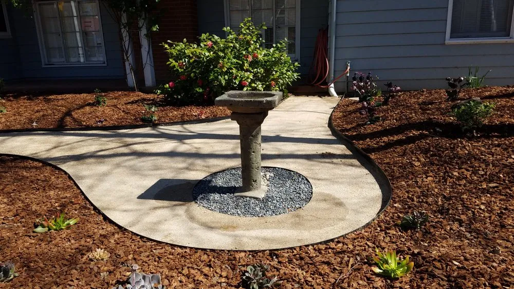 Custom yard maintenance in Davis, CA - Whole System Designs