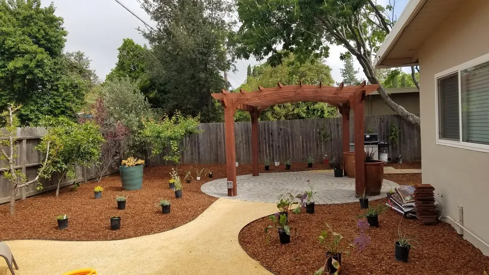 Reliable lawn care service for outdoor upgrades across Davis, CA - Whole System Designs