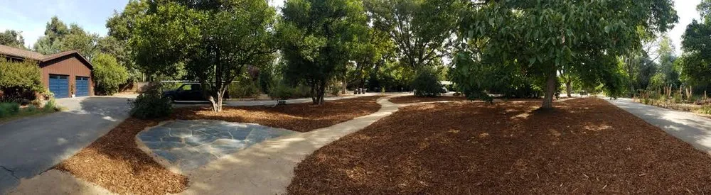 Reliable lawn mowing service in Davis, CA - Whole System Designs