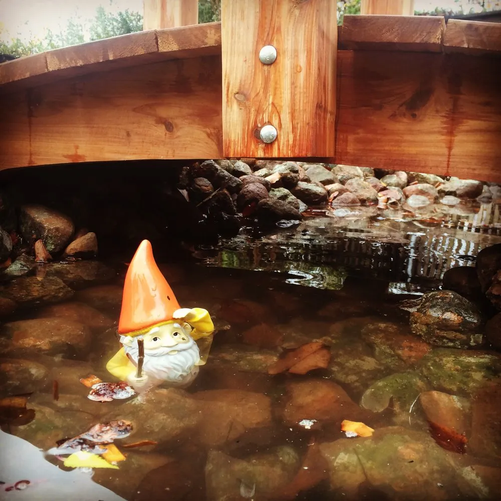 Trusted residential landscaping experts serving Davis, CA - Whole System Designs