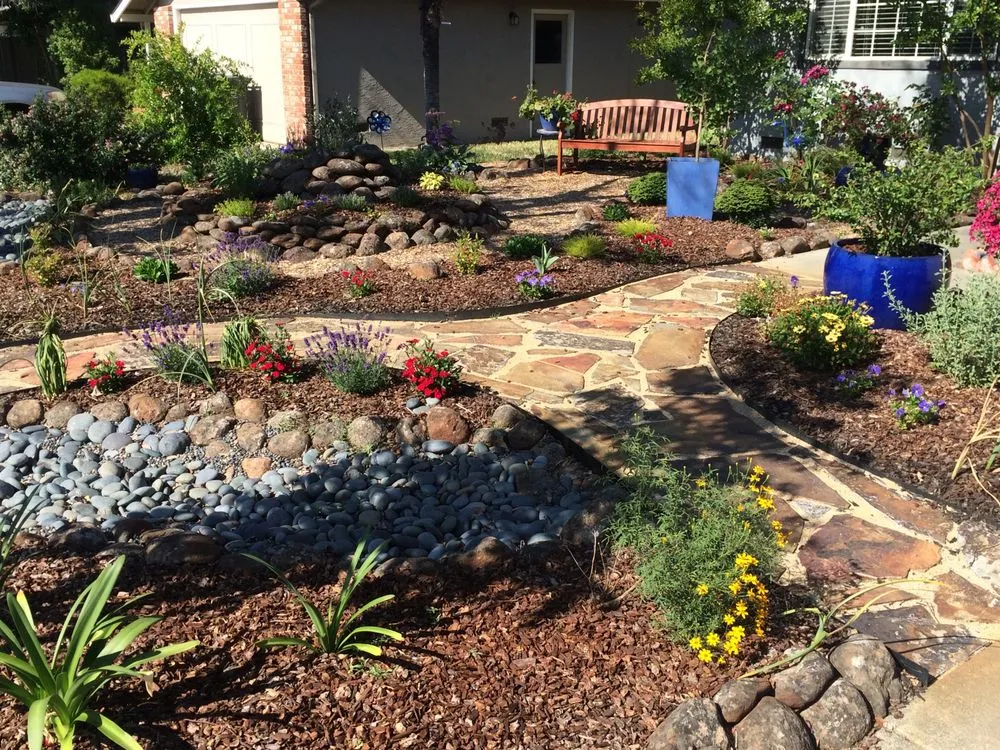 Custom yard maintenance in Davis, CA - Whole System Designs