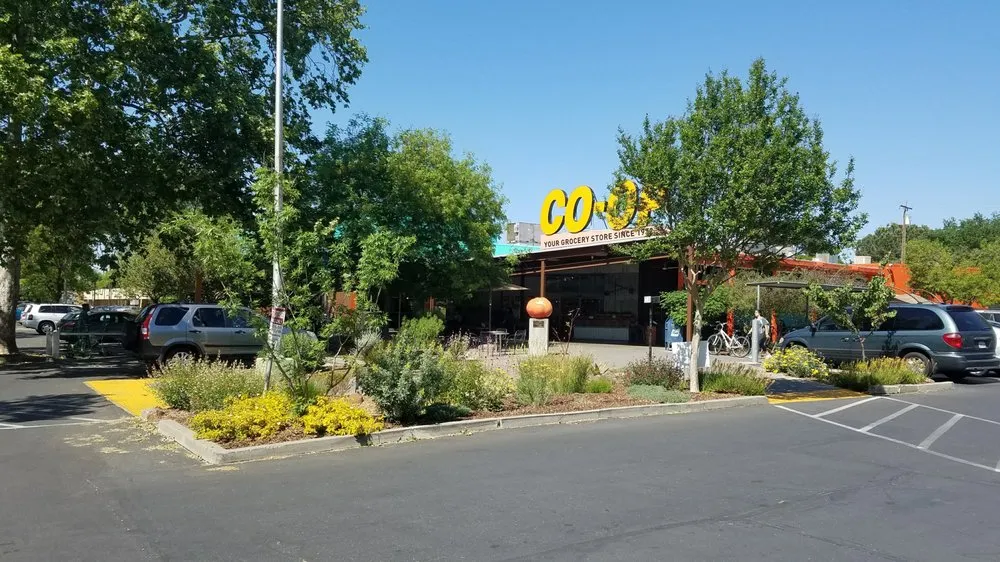 Custom lawn care service in Davis, CA - Whole System Designs