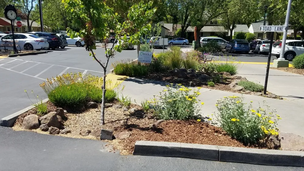Trusted landscape design with custom design in Davis, CA by Whole System Designs