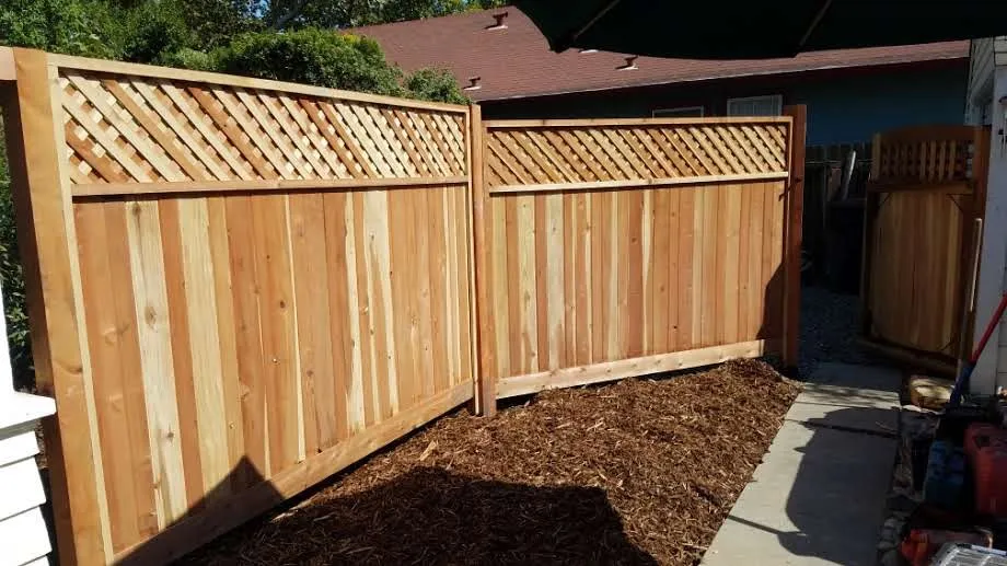 Affordable outdoor landscaping in Davis, CA - Whole System Designs