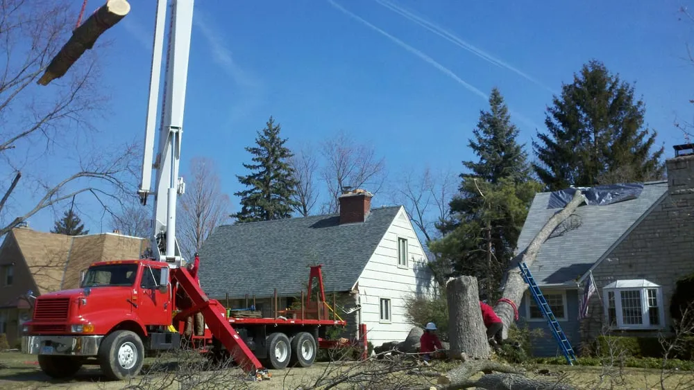 Local landscape design in Upper Arlington, OH - Whole Tree Care by Trapper's Tree Service