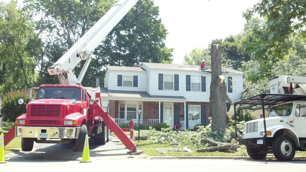 Expert garden landscaping in Upper Arlington, OH by Whole Tree Care by Trapper's Tree Service
