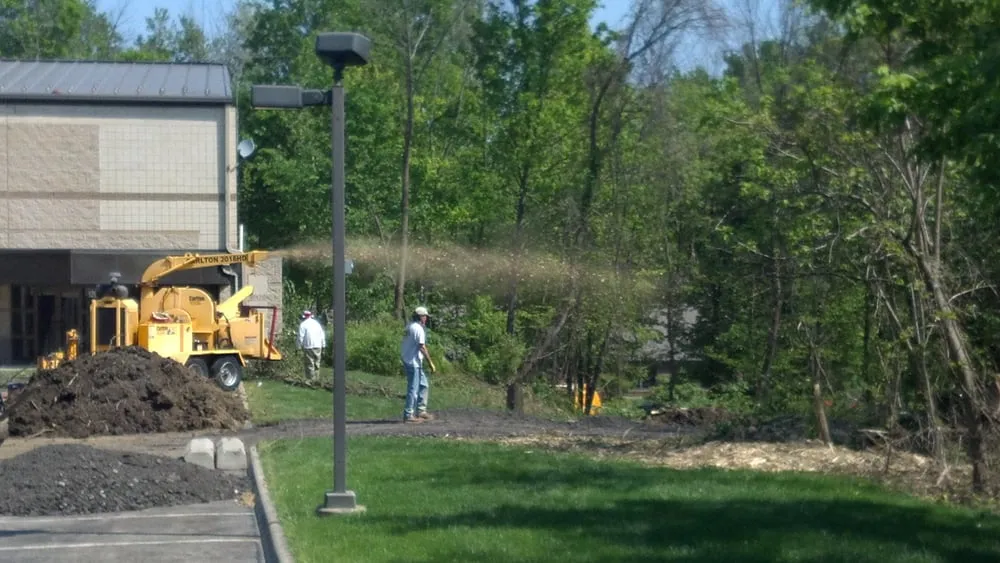 Expert yard maintenance for year-round maintenance in Upper Arlington, OH by Whole Tree Care by Trapper's Tree Service