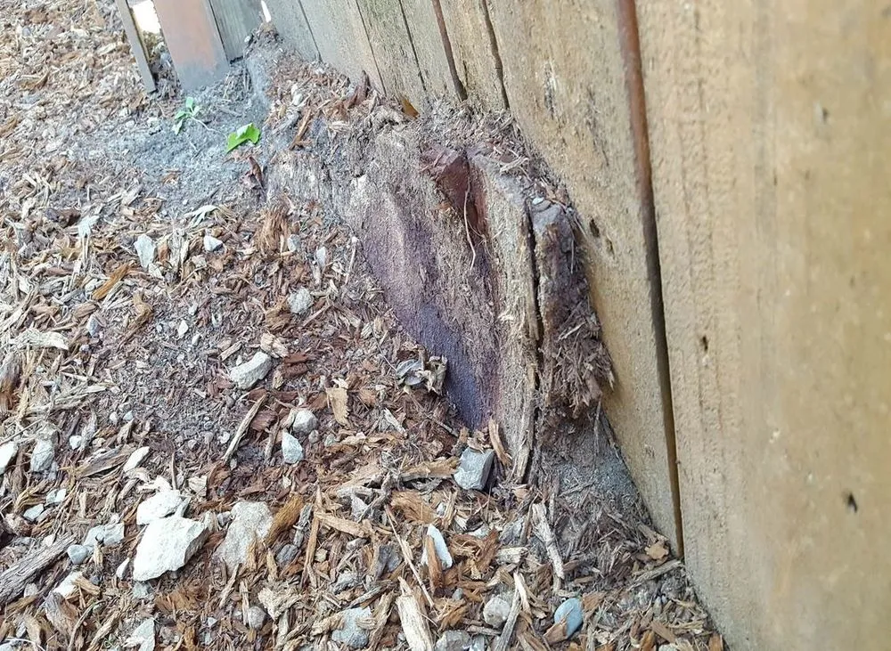 Affordable garden landscaping in Upper Arlington, OH - Whole Tree Care by Trapper's Tree Service