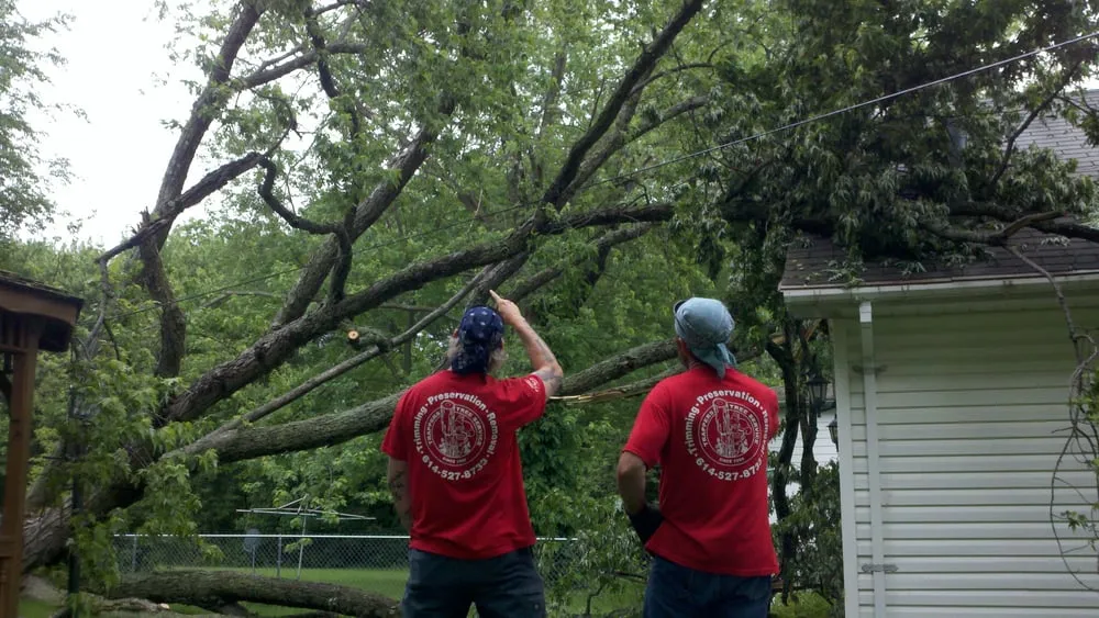 Custom landscaping services in Upper Arlington, OH - Whole Tree Care by Trapper's Tree Service