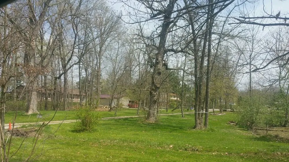 Top-rated landscape design near you across Upper Arlington, OH - Whole Tree Care by Trapper's Tree Service