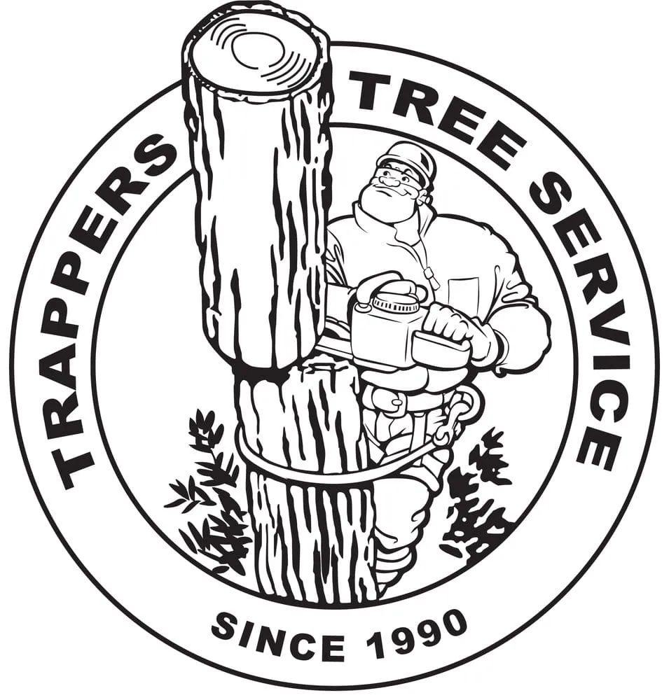 Expert lawn care service in Upper Arlington, OH - Whole Tree Care by Trapper's Tree Service