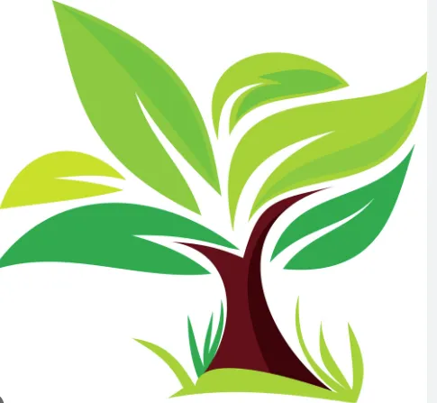 Trusted yard maintenance in Naples, FL by Wholesale Landscaping & Property Management