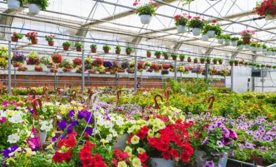 Trusted garden landscaping in Naples, FL - Wholesale Landscaping & Property Management