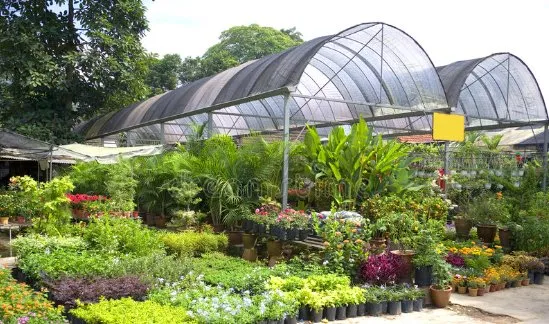 Local lawn care service experts serving Naples, FL - Wholesale Landscaping & Property Management