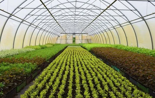 Trusted landscape installation in Naples, FL - Wholesale Landscaping & Property Management