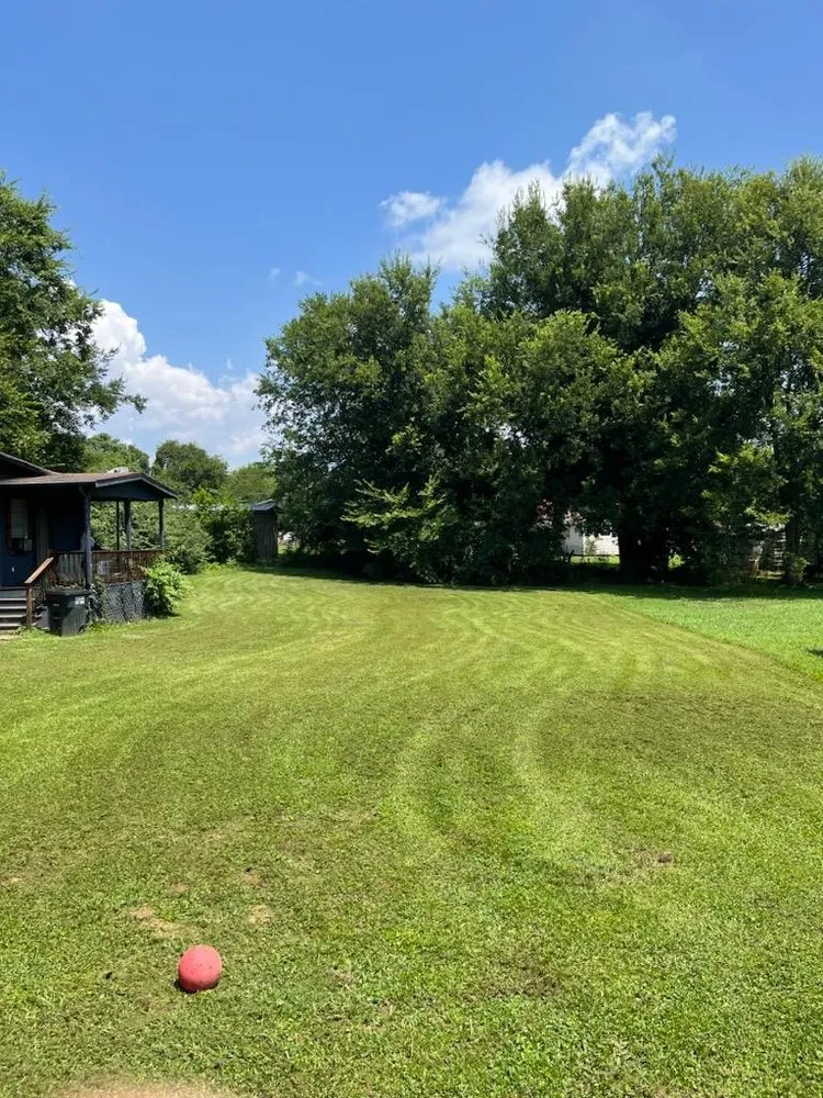 Professional lawn mowing service for homes across Calhoun, GA - Whorton & Associates