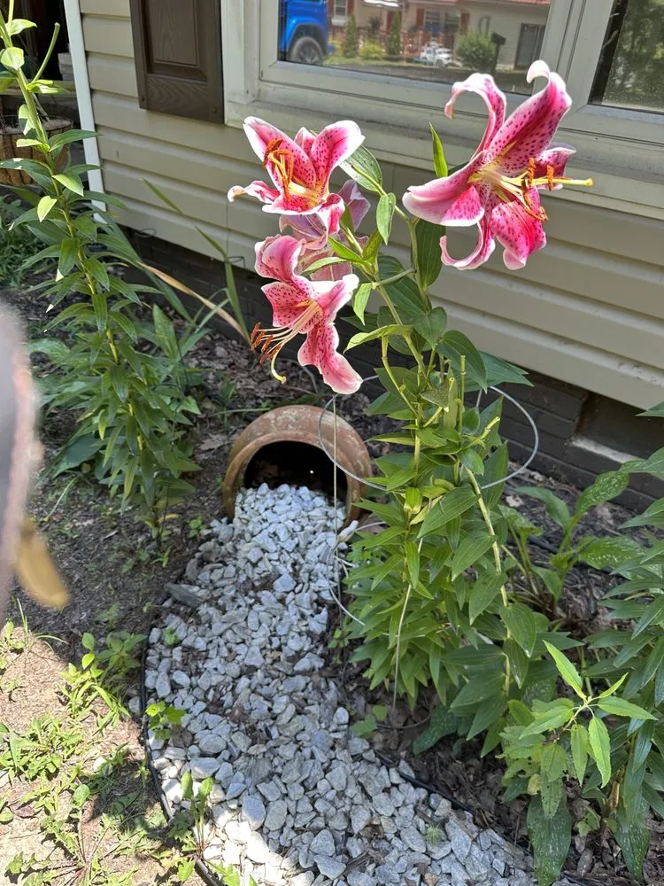 Custom lawn mowing service in Calhoun, GA by Whorton & Associates