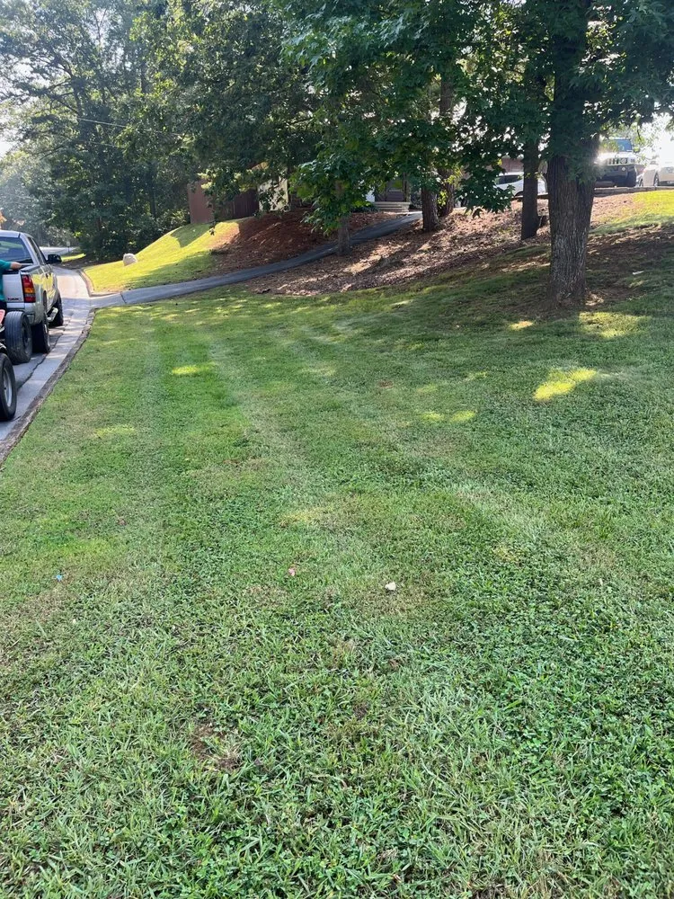 Expert lawn mowing service experts serving Calhoun, GA - Whorton & Associates