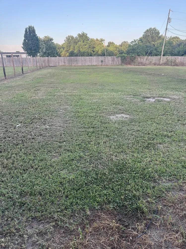 Trusted landscape installation in Greenville, MS by Whorton’s Lawncare