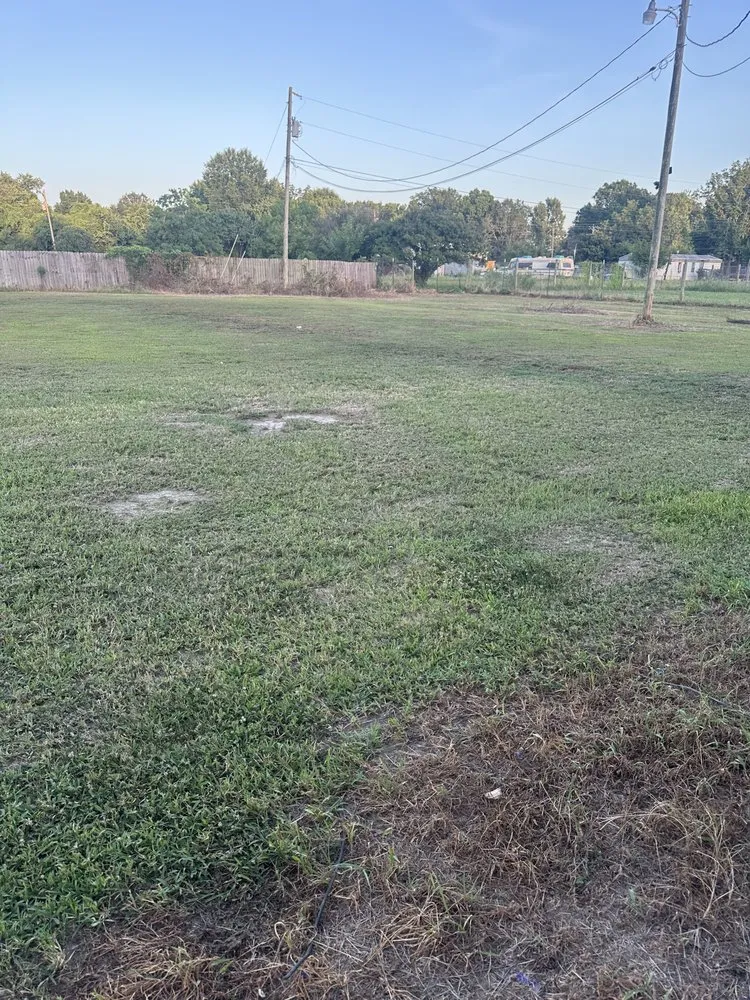 Professional residential landscaping experts serving Greenville, MS - Whorton’s Lawncare