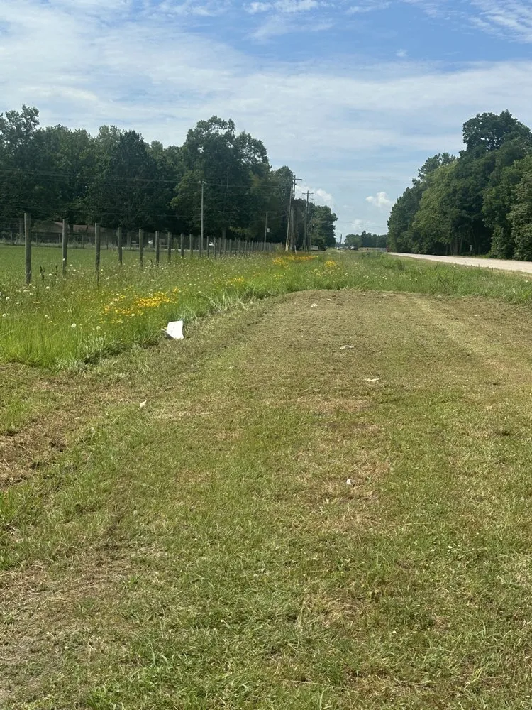 Reliable yard cleanup service in Greenville, MS by Whorton’s Lawncare