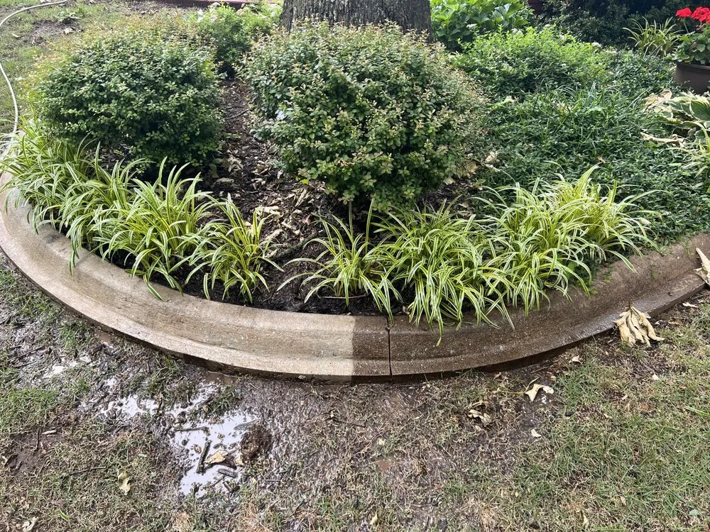 Expert landscaping services with custom design in Springdale, AR by Who’s Next Outdoor Services