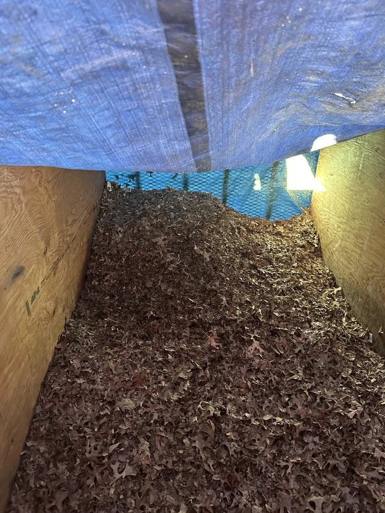 Top-rated yard maintenance for residential properties across Springdale, AR - Who’s Next Outdoor Services