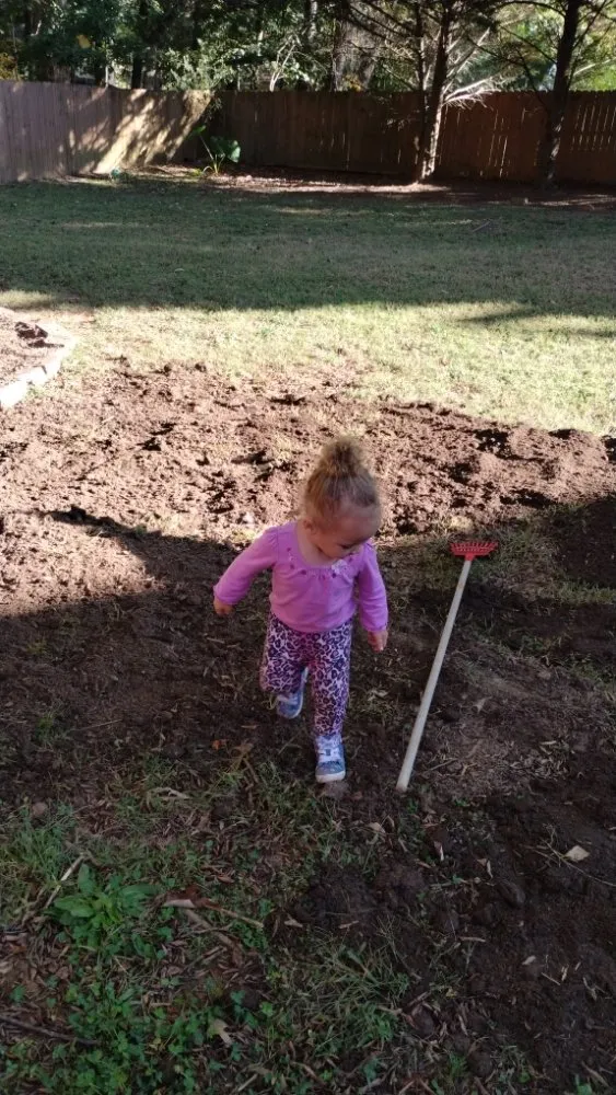 Affordable residential landscaping with custom design in Temple, GA by Why Experts