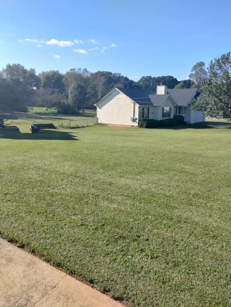 Custom lawn mowing service in Temple, GA by Why Experts