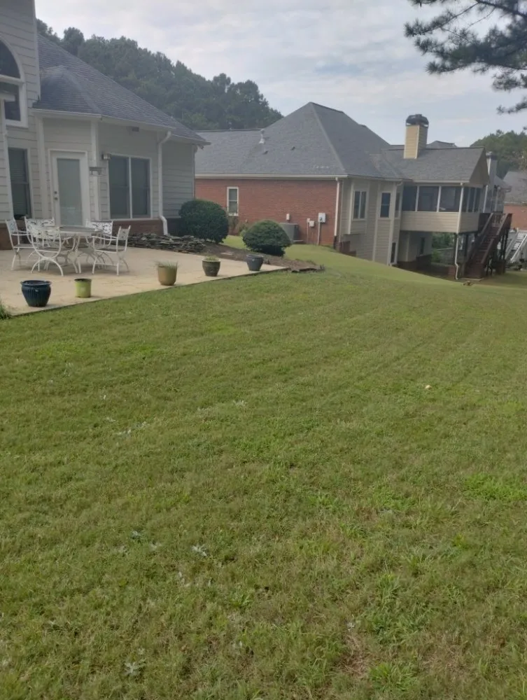 Top-rated yard cleanup service in Temple, GA by Why Experts