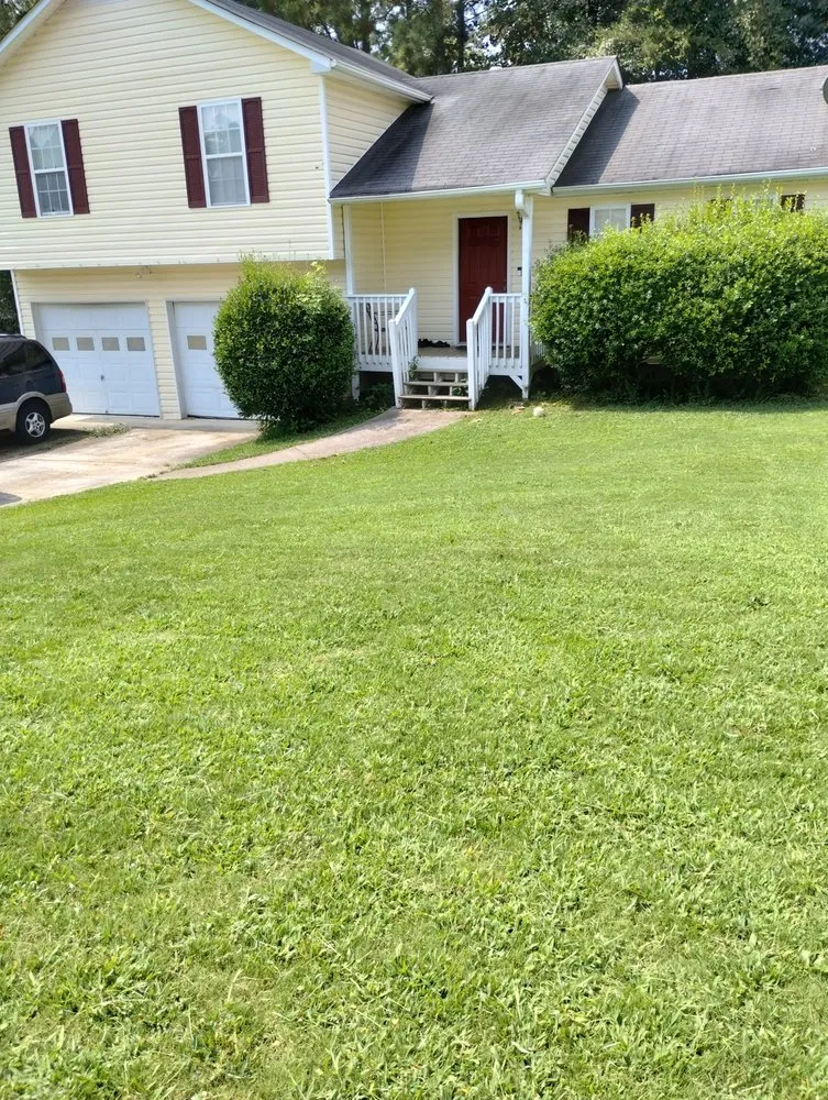 Trusted lawn care service for residential properties in Temple, GA by Why Experts