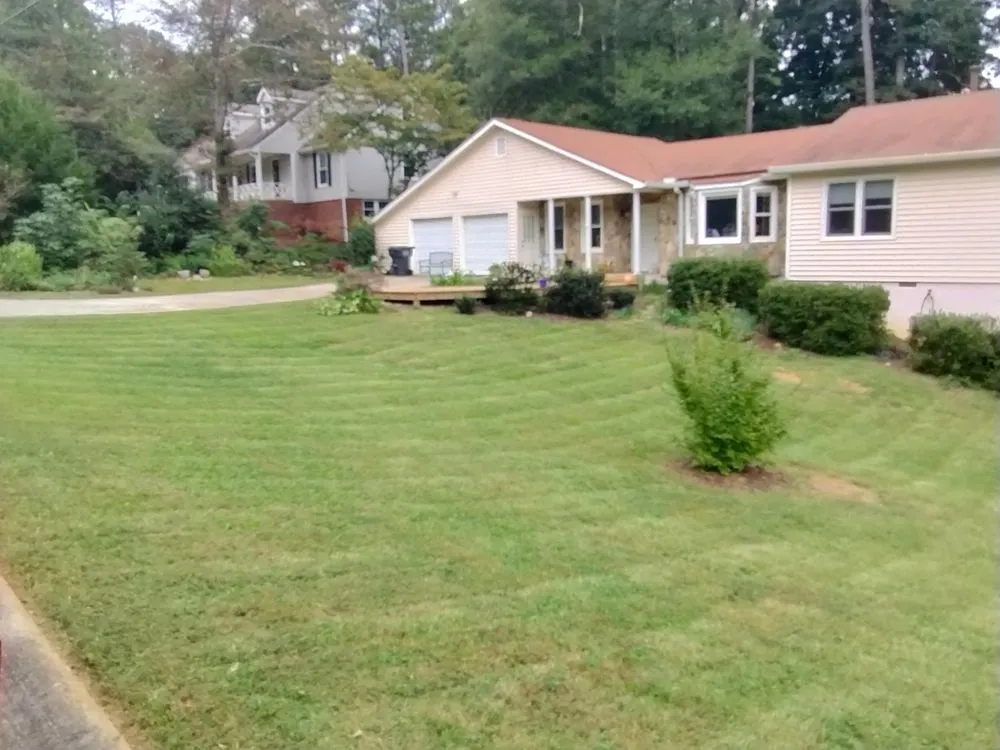 Expert lawn care service for residential properties across Temple, GA - Why Experts