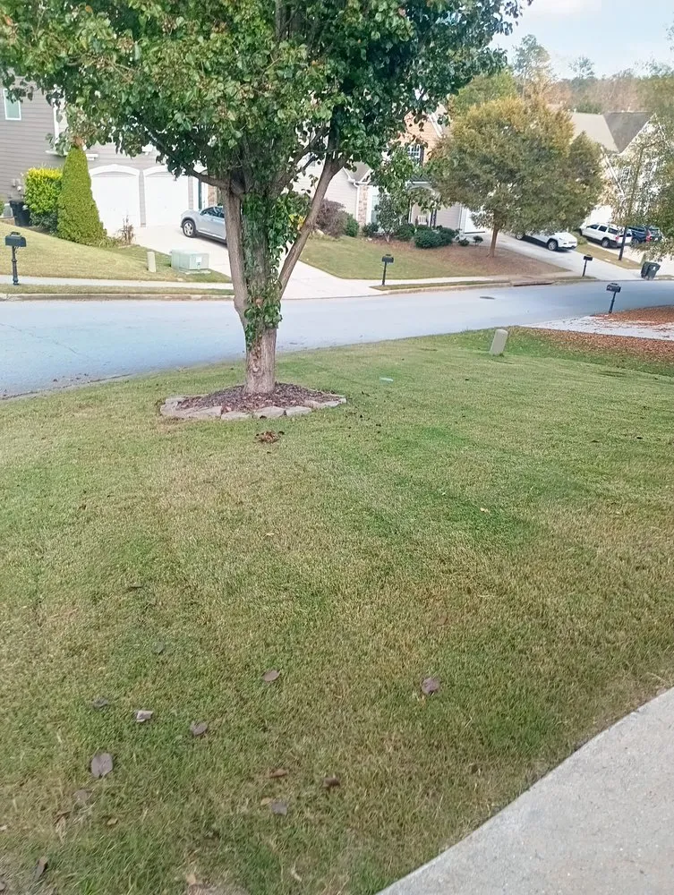 Affordable yard maintenance with custom design across Kennesaw, GA - WhyExperts