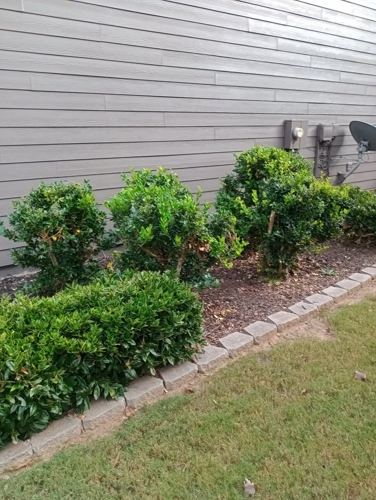 Custom lawn care service in Kennesaw, GA by WhyExperts