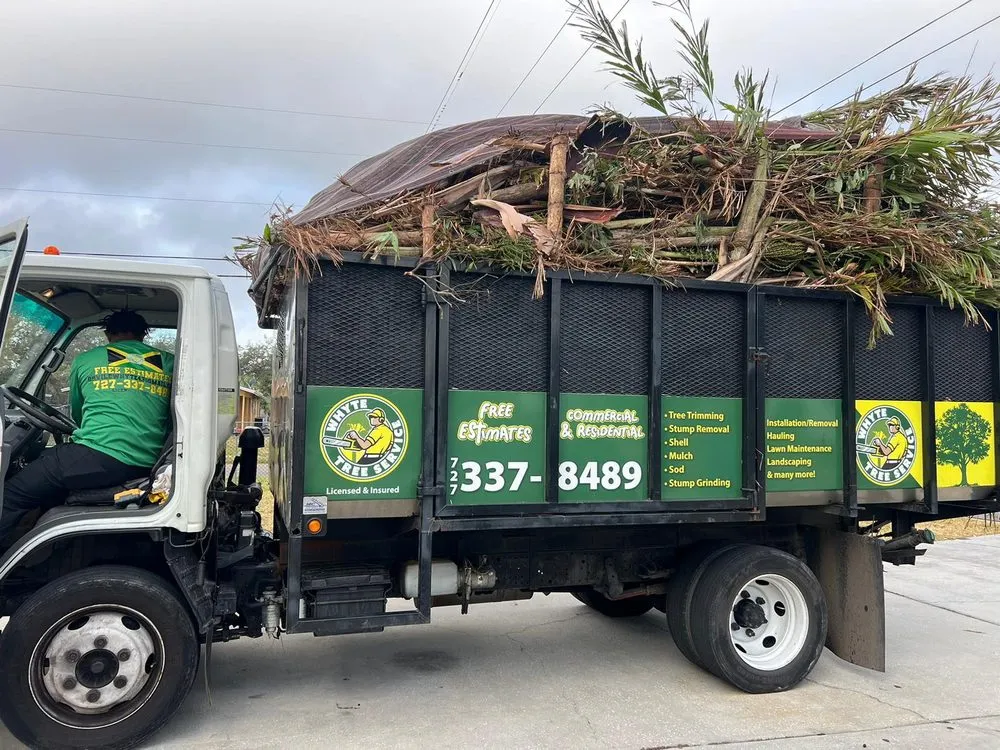 Top-rated residential landscaping near you across St. Petersburg, FL - Whyte Tree Service