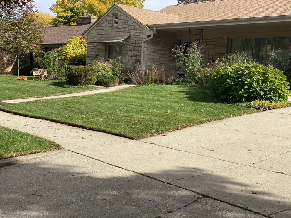 Custom garden landscaping for outdoor upgrades across Waukesha, WI - WI Labor Men