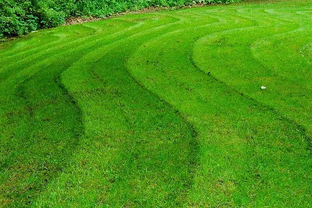 Custom landscape installation for year-round maintenance in Waukesha, WI by WI Labor Men