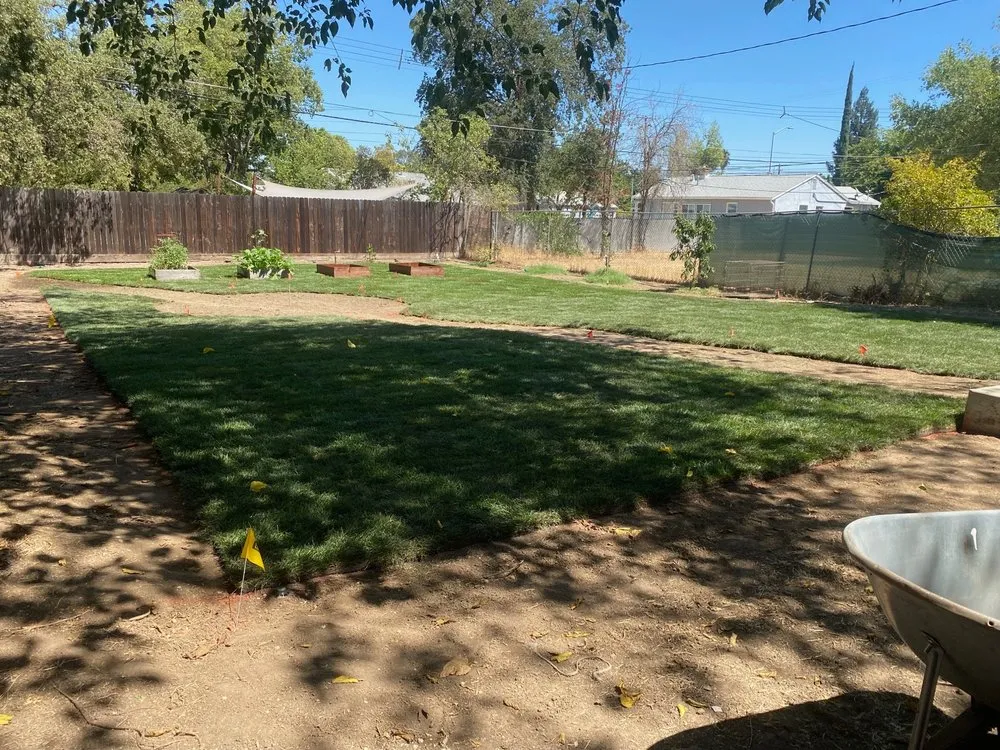 Reliable lawn mowing service experts serving Sacramento, CA - Wias Landscaping Services