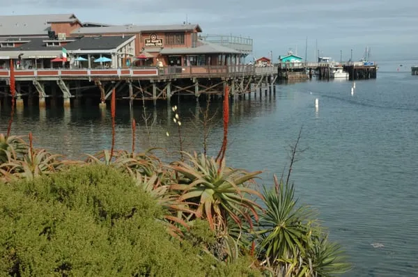 Wibs Landscape Development Logo