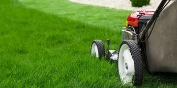 Wich Lawn Care
