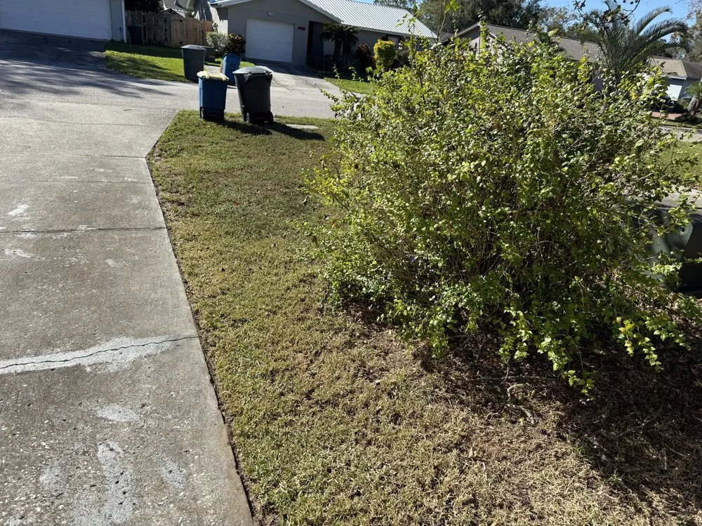 Trusted residential landscaping experts serving Bartow, FL - Wichi Landscaping