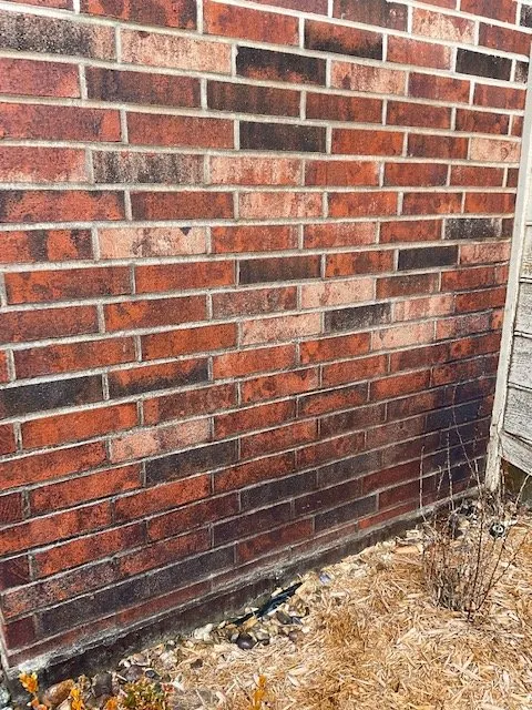 Expert lawn mowing service with custom design across Wichita, KS - Wichita Exterior Cleaning