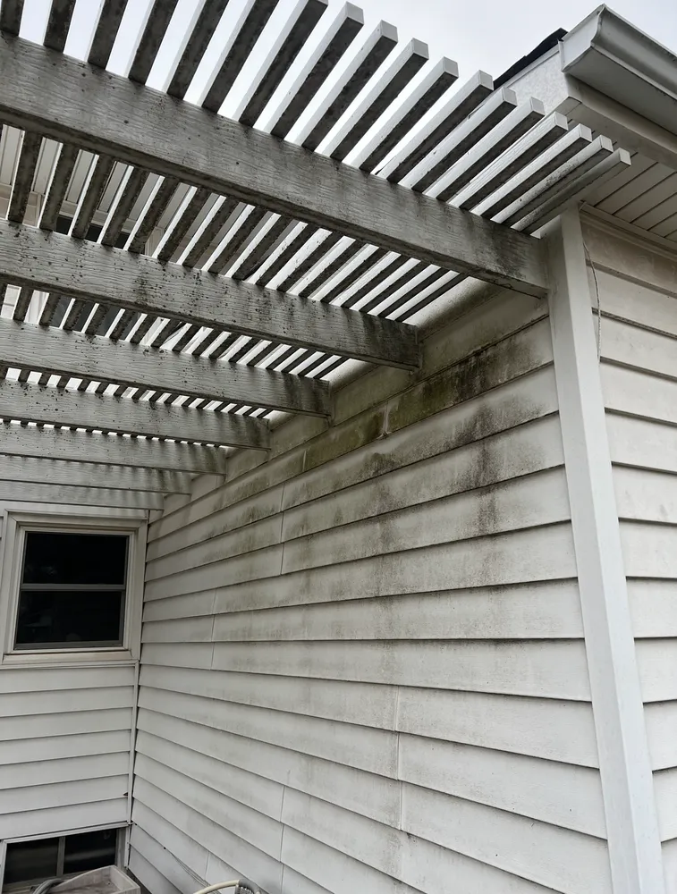 Professional outdoor landscaping in Wichita, KS - Wichita Exterior Cleaning