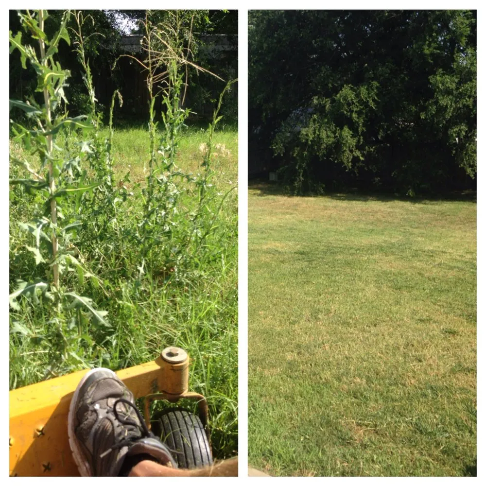 Reliable lawn care service experts serving Wichita, KS - Wichita Mowing & Landscapes