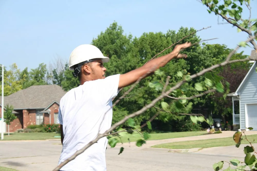 Professional landscaping services for year-round maintenance across Wichita, KS - Wichita Tree Service